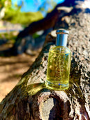 🏆 Trío BOSS – Unlimited, Night & Bottled 🏆