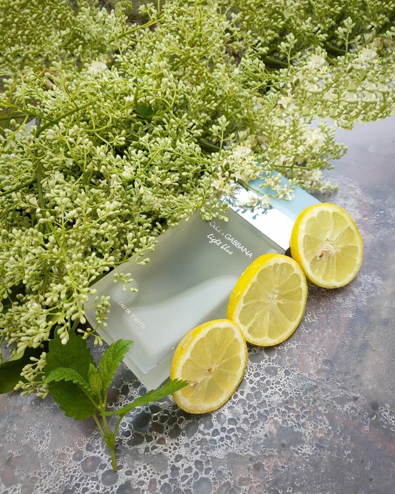 ✨ Trío – Fame Intense, La Vie Est Belle & Light Blue + Splash Victoria’s Secret de Regalo 🎁